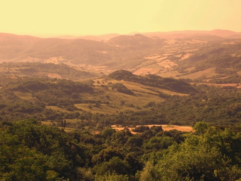 Una tarda primavera sulla Tolfa